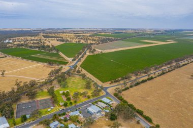 Avustralya 'da Naracoorte yakınlarındaki üzüm bağları