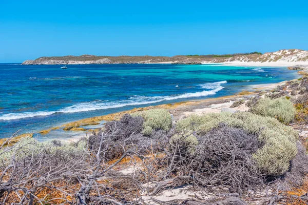 Жорстке Узбережжя Ротнестського Острова Австралії — стокове фото