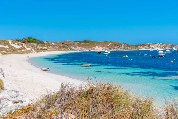 Felsige Bucht Auf Der Insel Rottnest Australien — Stockfoto