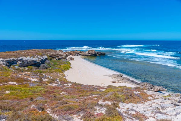 Cabo Vlamingh Isla Rottnest Australia — Foto de Stock