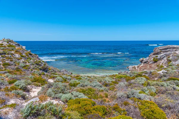 Невелика Бухта Ротнестському Острові Австралії — стокове фото