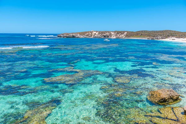 Мері Острові Ротнест Австралія — стокове фото