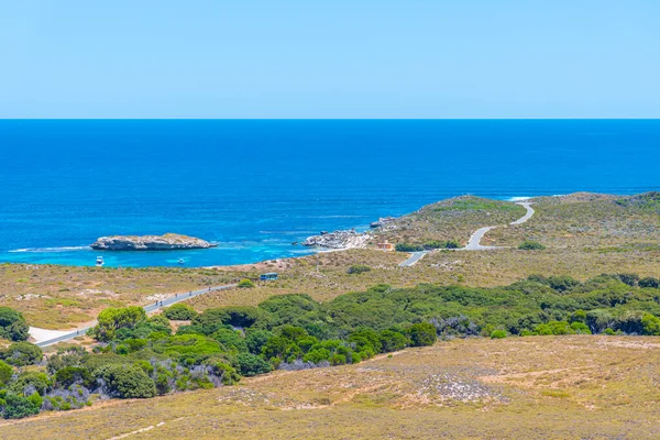 オーストラリアのロットネスト島の緑の島 — ストック写真