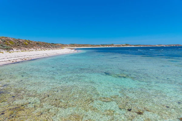 Bahía Salmón Isla Rottnest Australia — Foto de Stock