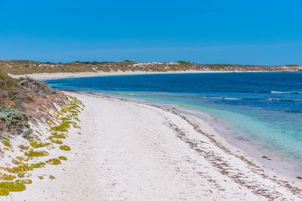 オーストラリアのロットネスト島のサーモンベイ — ストック写真