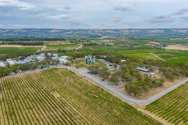 D 'Arenberg Küpü Avustralya' daki Mclaren Vale 'de bir üzüm bağında yer almaktadır.