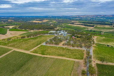 D 'Arenberg Küpü Avustralya' daki Mclaren Vale 'de bir üzüm bağında yer almaktadır.