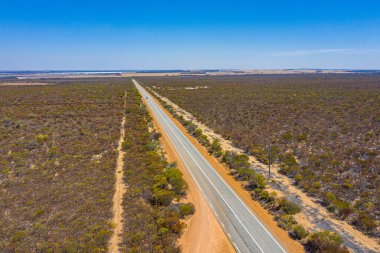 Batı Avustralya 'nın çalılarının arasından akan yol.