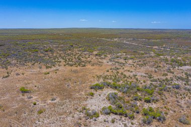 Batı Avustralya 'daki çalılıkların havadan görünüşü