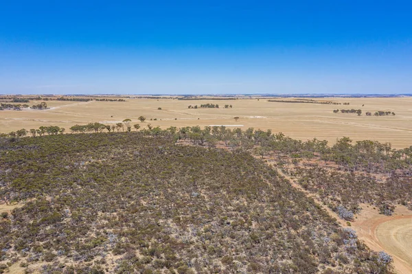 Landsbygdslandskap Västra Australien — Stockfoto