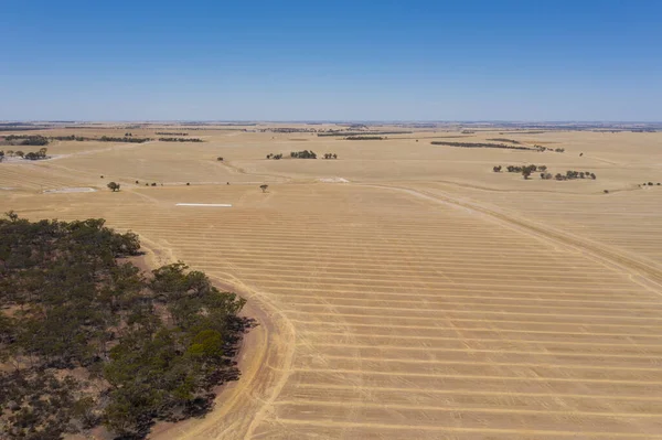 Landsbygdslandskap Västra Australien — Stockfoto