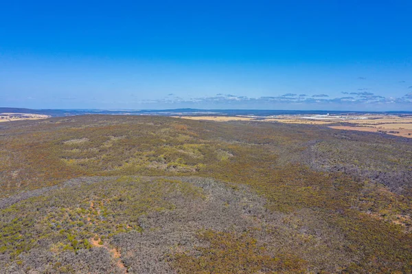 Vista Aérea Arbusto Austrália Ocidental — Fotografia de Stock