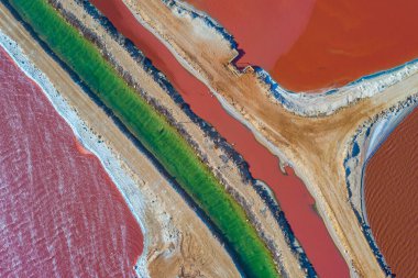 Avustralya 'da Pembe Göl yağlı Limanda