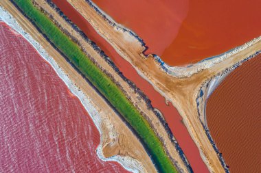 Avustralya 'da Pembe Göl yağlı Limanda