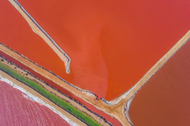 Avustralya 'da Pembe Göl yağlı Limanda