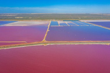 Avustralya 'da Pembe Göl yağlı Limanda