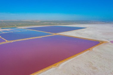 Avustralya 'da Pembe Göl yağlı Limanda