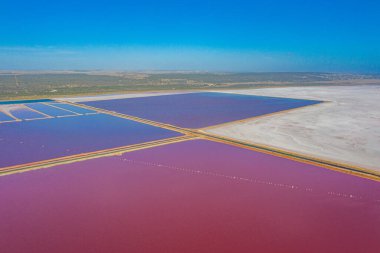 Avustralya 'da Pembe Göl yağlı Limanda