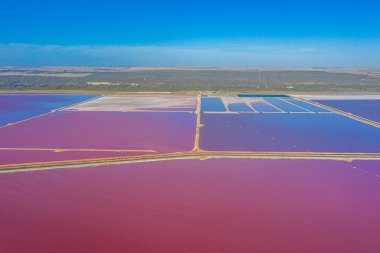 Avustralya 'da Pembe Göl yağlı Limanda