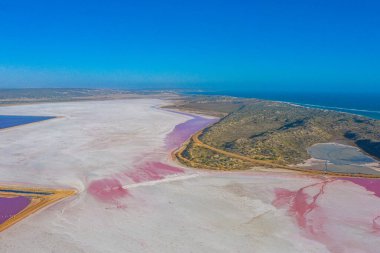 Avustralya 'da Pembe Göl yağlı Limanda