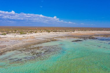 Avustralya 'daki Hamelin havuzunda Stromatolitler