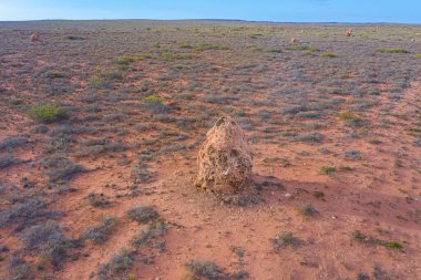 Exmouth, Avustralya yakınlarındaki termit yuvası