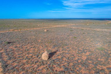 Exmouth, Avustralya yakınlarındaki termit yuvası