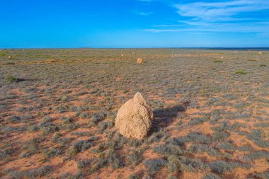 Exmouth, Avustralya yakınlarındaki termit yuvası