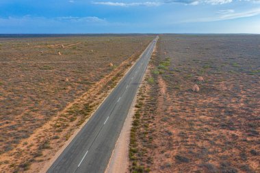 Exmouth, Avustralya yakınlarındaki termit yuvası