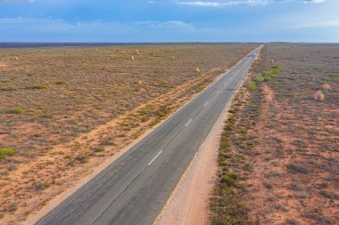 Exmouth, Avustralya yakınlarındaki termit yuvası