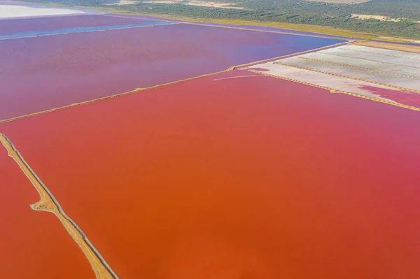 オーストラリアのポート グレゴリーのピンク湖 — ストック写真