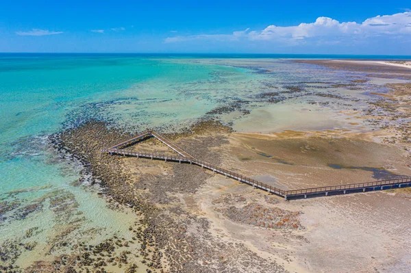 Passerella Legno Alla Piscina Hamelin Usata Vista Stromatolites Australia — Foto Stock