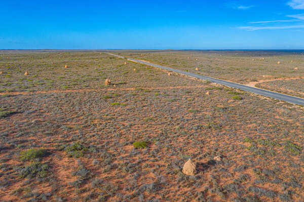 Termite nest near Exmouth, Australia