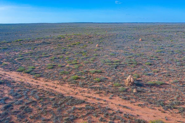 Termití Hnízdo Poblíž Exmouthu Austrálie — Stock fotografie