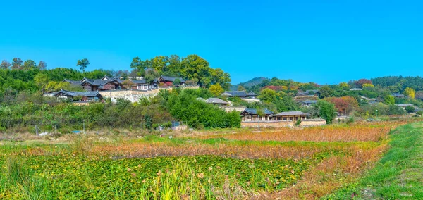 大韓民国の陽東民俗村にある蓮池の背後にある伝統家屋 — ストック写真