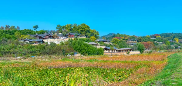 공화국의 마을에 로터스 — 스톡 사진