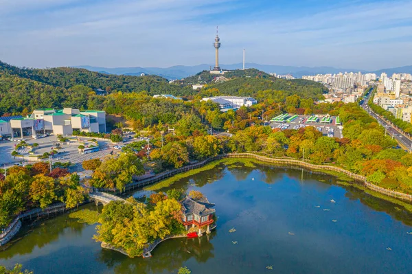Letecký Pohled Věž Umělým Jezerem Daegu Korejská Republika — Stock fotografie