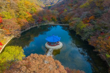 Kore 'de Naejangsan Ulusal Parkı' ndaki bir gölette bulunan bir pavyonun havadan görünüşü