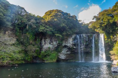Cheonjiyeon Şelalesi Seogwipo, Kore Cumhuriyeti