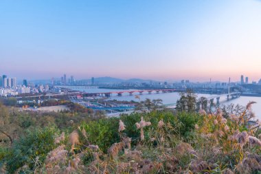 Kore, Seul 'deki Dünya Kupası köprüsünün günbatımı manzarası