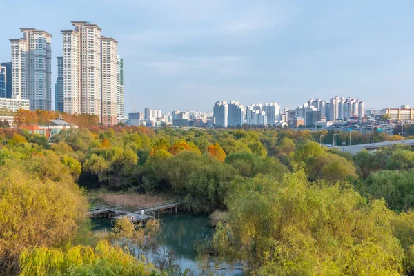 Park Naast Yeouido Eiland Seoul Republiek Korea — Stockfoto