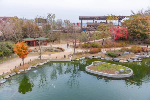 Pond Imjingak Unification Park Republic Korea — Stock Photo, Image