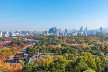 Seul şehir merkezi Kore Cumhuriyeti Barış Parkı 'nın arkasında görülüyor.