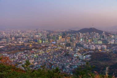 Gyeongbokgung Sarayı ve Kore Cumhuriyeti şehir merkezi manzaralı Namsan Kulesi.