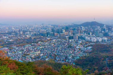 Gyeongbokgung Sarayı ve Kore Cumhuriyeti şehir merkezi manzaralı Namsan Kulesi.