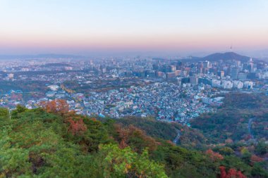 Gyeongbokgung Sarayı ve Kore Cumhuriyeti şehir merkezi manzaralı Namsan Kulesi.