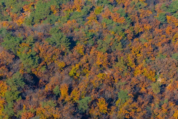 Luftaufnahme Bunter Bäume Herbst Auf Dem Namsan Hügel Südkorea — Stockfoto