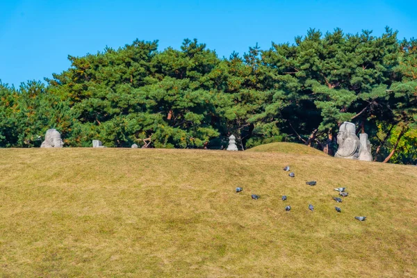 ソウル のソウルと全南 チョンヌン 王室墓の石彫 — ストック写真
