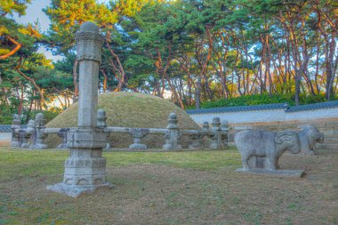 Seolleung 'daki taş heykeller ve Kore' deki Jeongneung Kraliyet Mezarları.