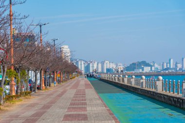 Mokpo 'da Kore Cumhuriyeti' nde bir çeşme eşliğinde deniz kenarında gezinti.